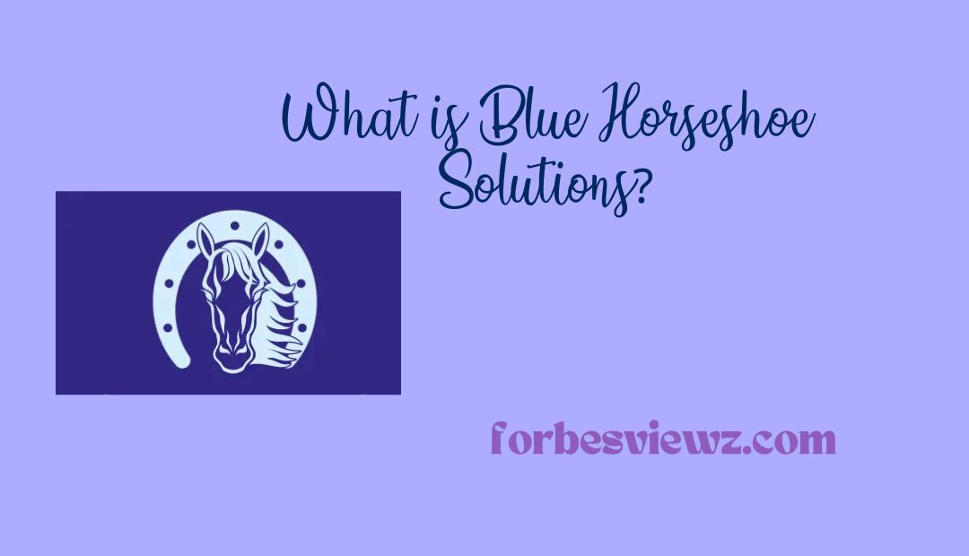 What is Blue Horseshoe Solutions