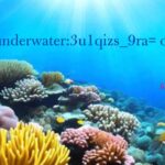 underwater:3u1qizs_9ra= ocean