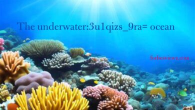 underwater:3u1qizs_9ra= ocean