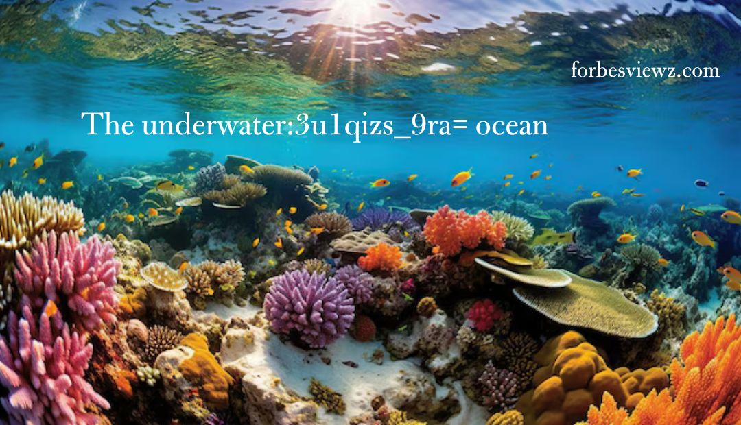 underwater:3u1qizs_9ra= ocean