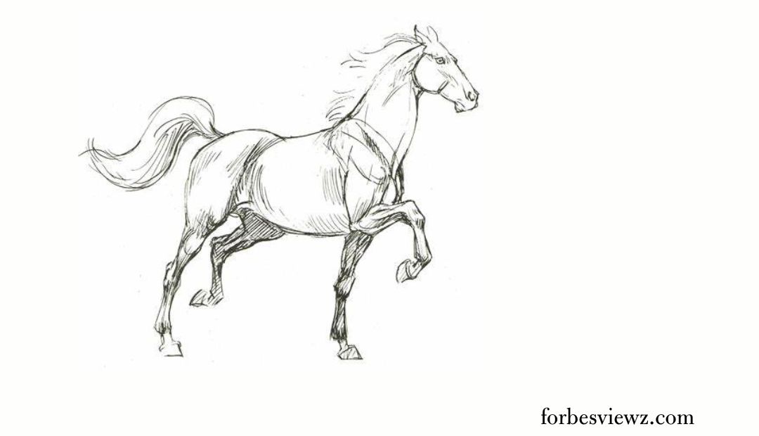 drawing:ljd413jlg70= horse